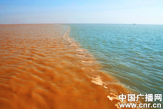 湿导钦呤旨:黄河三角洲上的"湿地之城"; 黄河入海口湿地公园_东营