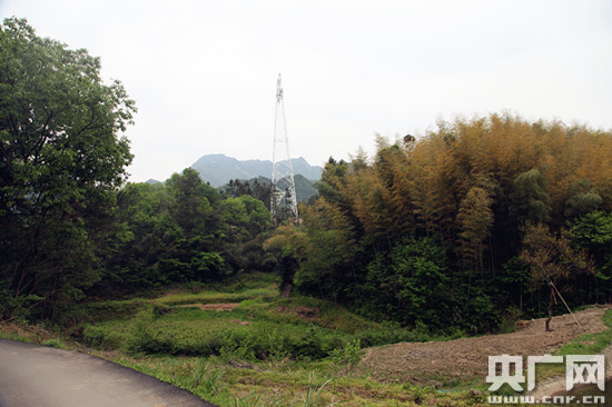 头条    地处金寨县花石乡西南的大湾村,四面环山,交通闭塞.