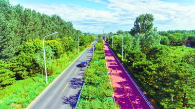 通州运河森林公园附近的自行车专用道,吸引市民前来骑行.