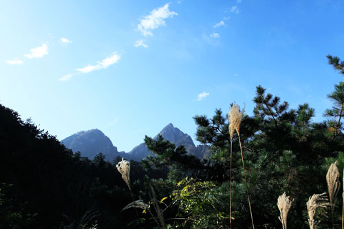 大别山风光[组图]