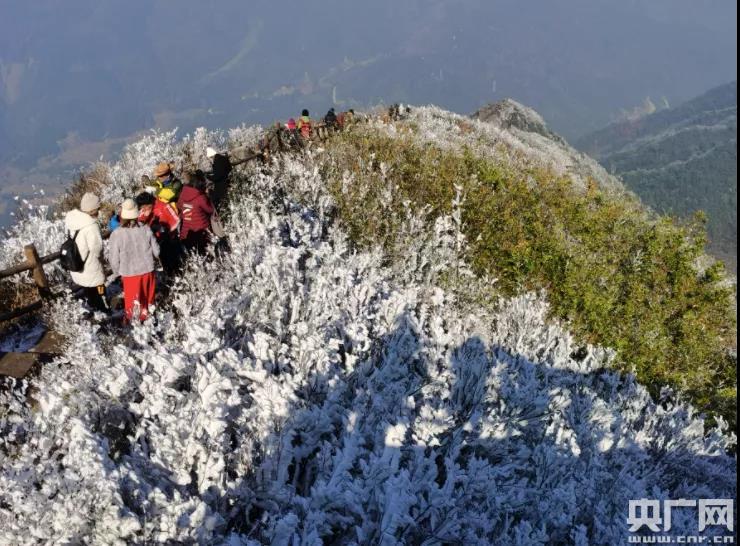 广东清远连山金子山荣获"岭南赏雪胜地"称号