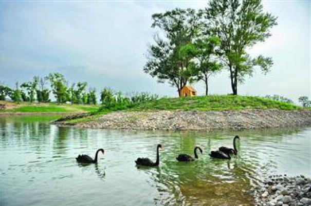 辽阳:太子岛景区将变身湿地公园