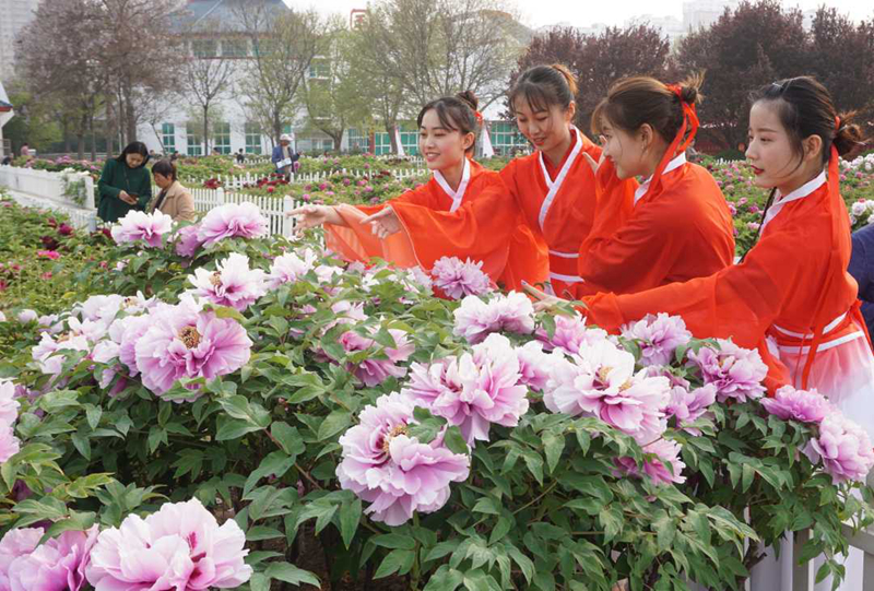 2019世界牡丹大会,第28届菏泽国际牡丹文化旅游节开幕