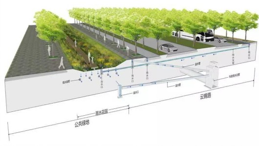 云锦路跑道公园"雨水花园"剖面示意图 供图:西岸集团