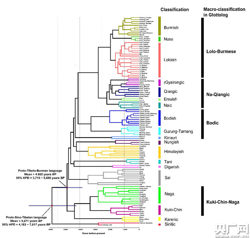 中国语言学研究成果首登《自然》主刊 复旦团队揭示汉藏语系起源