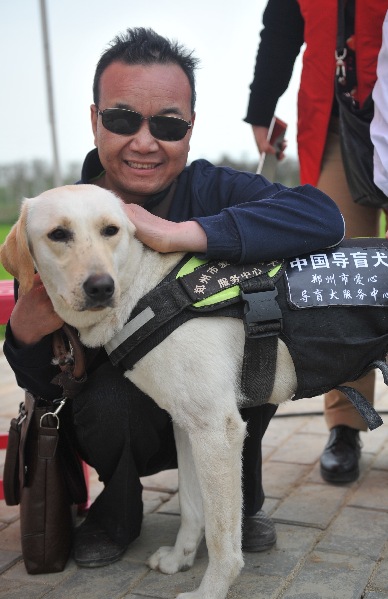 西北首家导盲犬训导基地在西安市正式启动