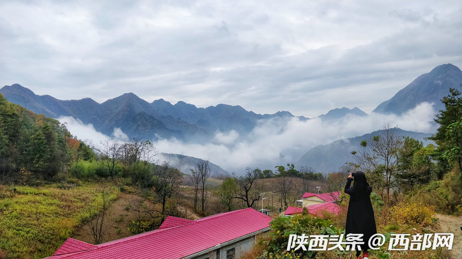 发现旬阳:谷深叶红在构元 坐看云起上羊山