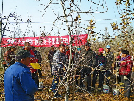 千阳县村民在冬日的田间上培训课.