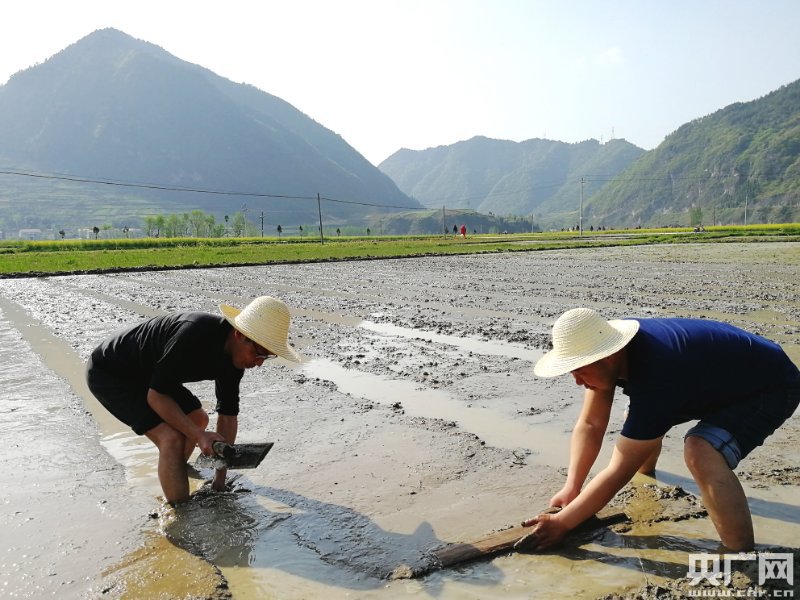 贫困村唱起了幸福歌谣