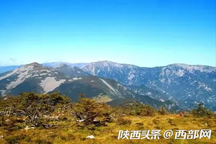 哭泣的"鳌太线" 天然状态山地生态系统亟需保护   纵贯秦岭鳌山与太白