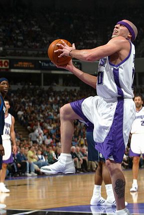 9. 迈克·毕比(mike bibby),国王队.