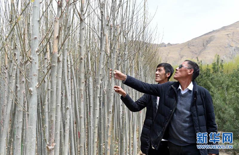 植树人;雅江;树痴                      在南木林县