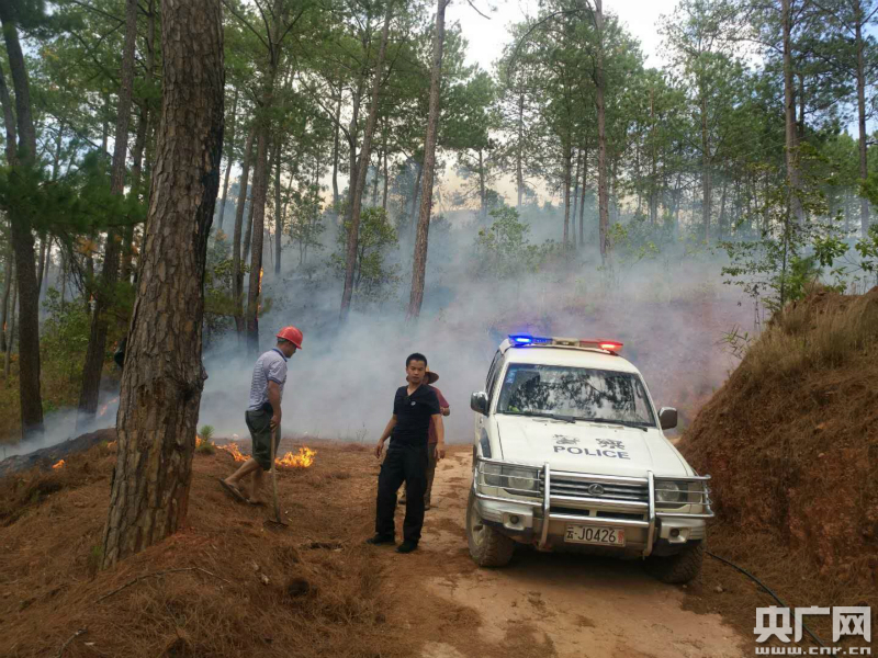 不满违建猪圈被拆 云南宁洱老汉放火烧山