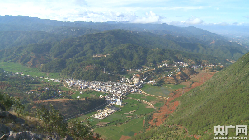 保山昌宁大田坝:葡萄成熟绿珠醉 玫瑰清香引客来